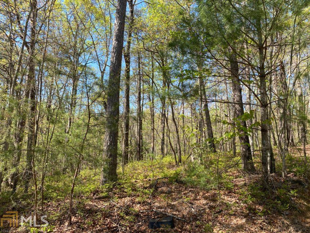 0 Little Beaver Dr - Photo 1