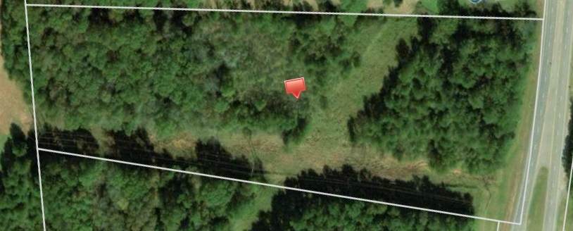 0 Highway 53 Spur - Photo 1