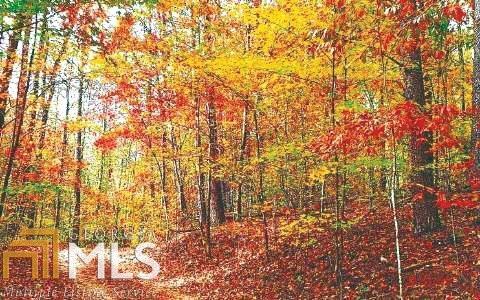 0 Laurel Ridge Rd - Photo 1