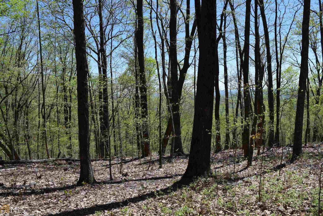 0 Mountainside Drive - Photo 1