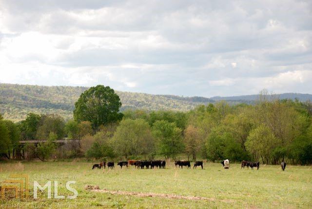 0 Reeves Station Rd - Photo 1