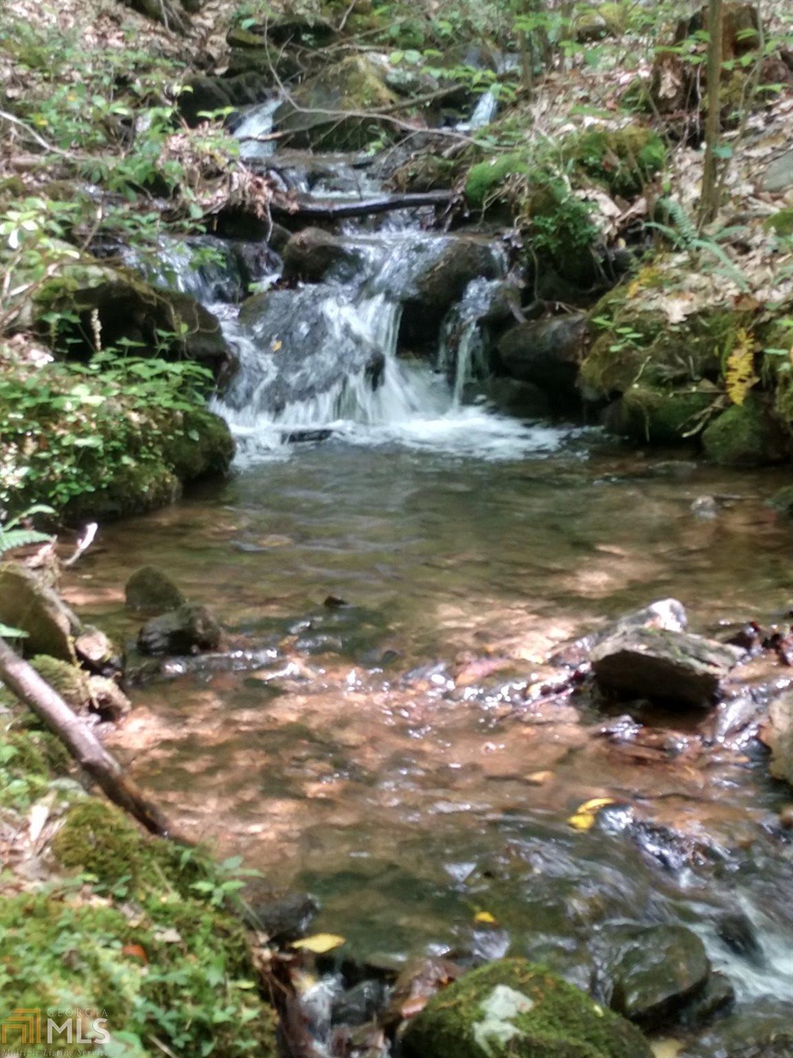 0 The Hemlocks - Photo 1