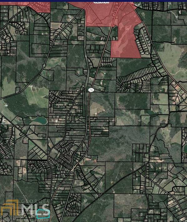 688 Ga Hwy 85 S - Photo 1