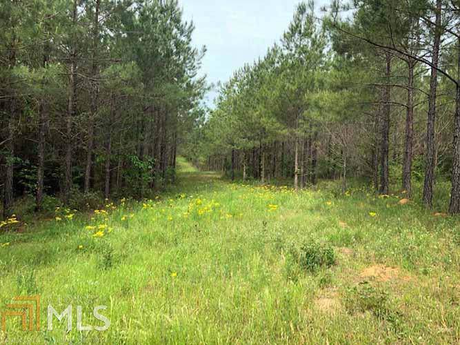 12244 Us Highway 280 - Photo 1