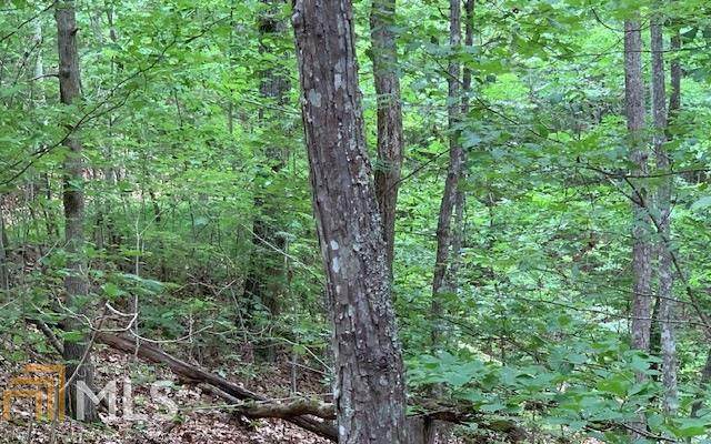 0 Bruce Mountain - Photo 1