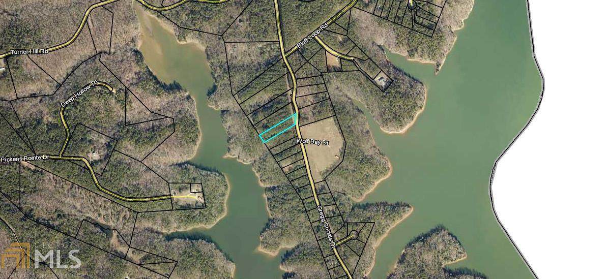 0 Gregg Shoals Dr . - Photo 1