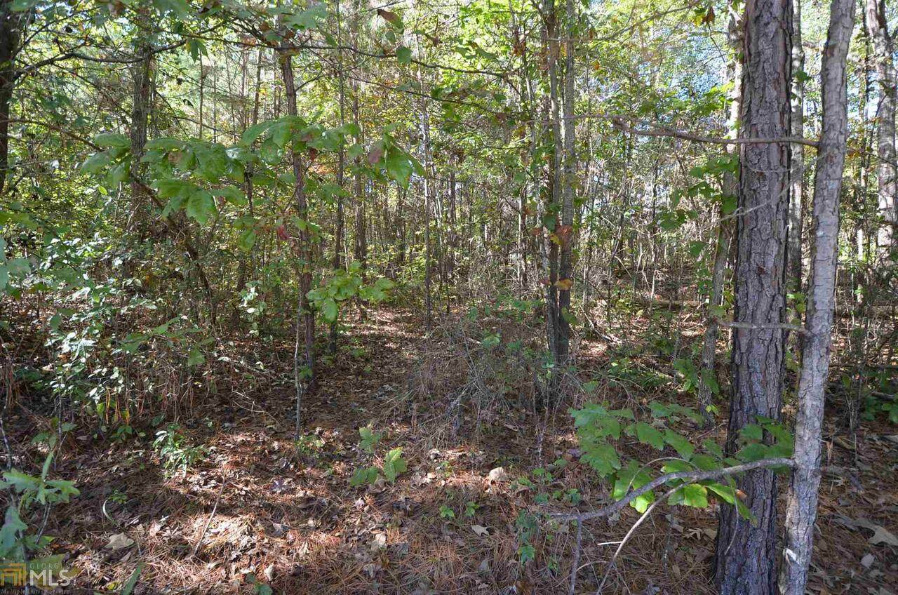 LOT 3 Parkview Drive - Photo 1