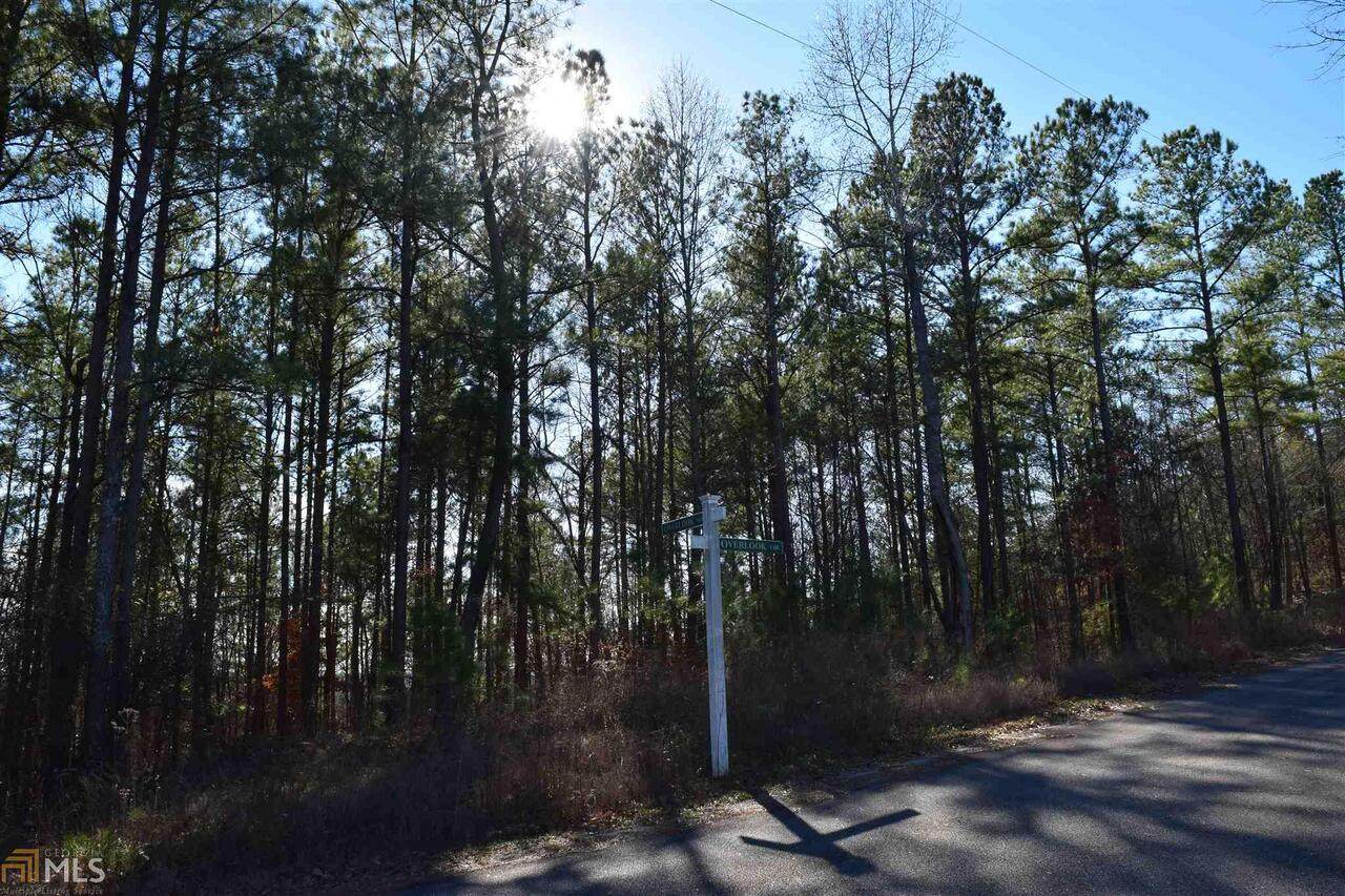 0 Co Rd 299 - Photo 1