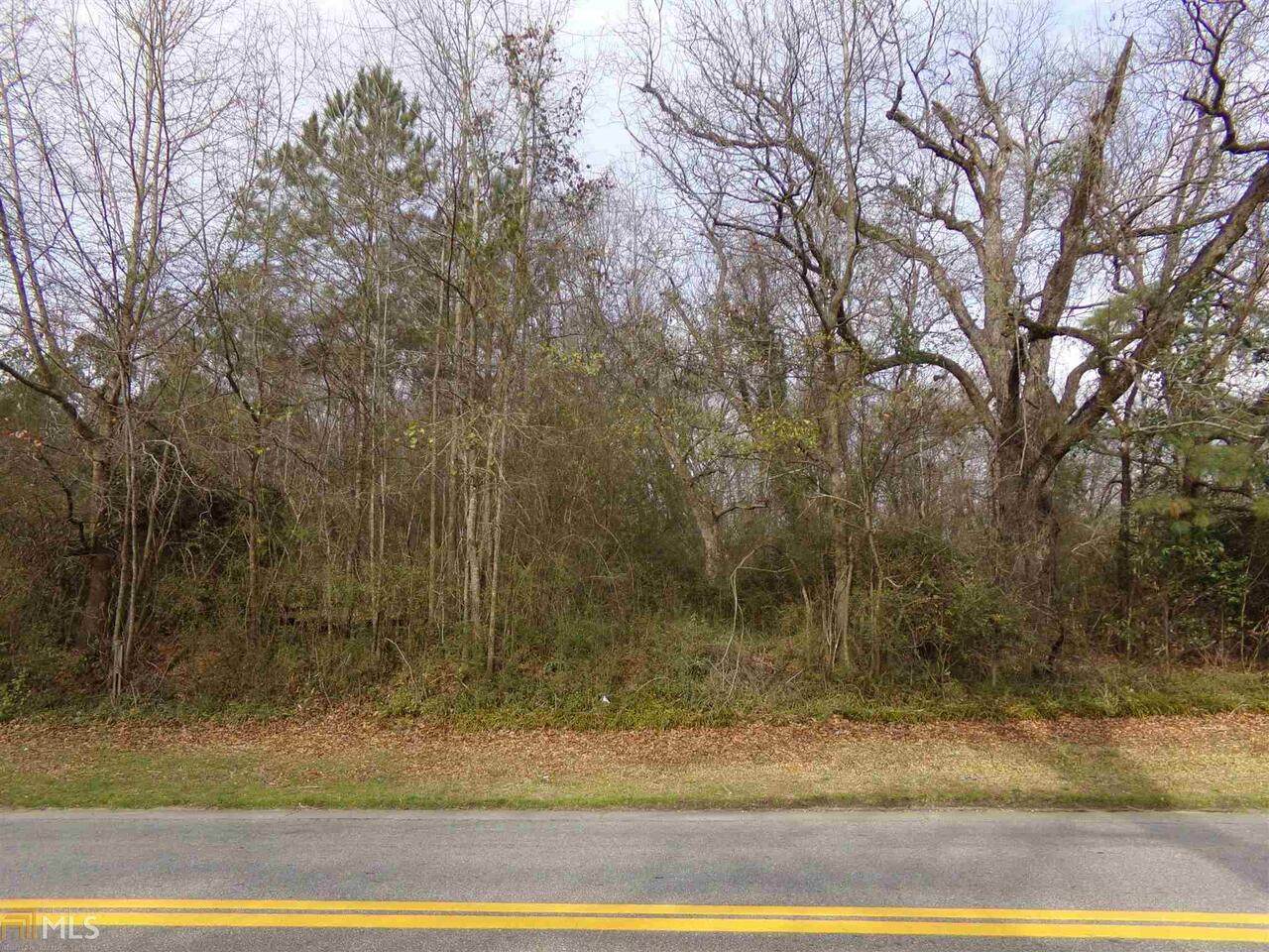 0 Martin Luther King Jr Drive - Photo 1