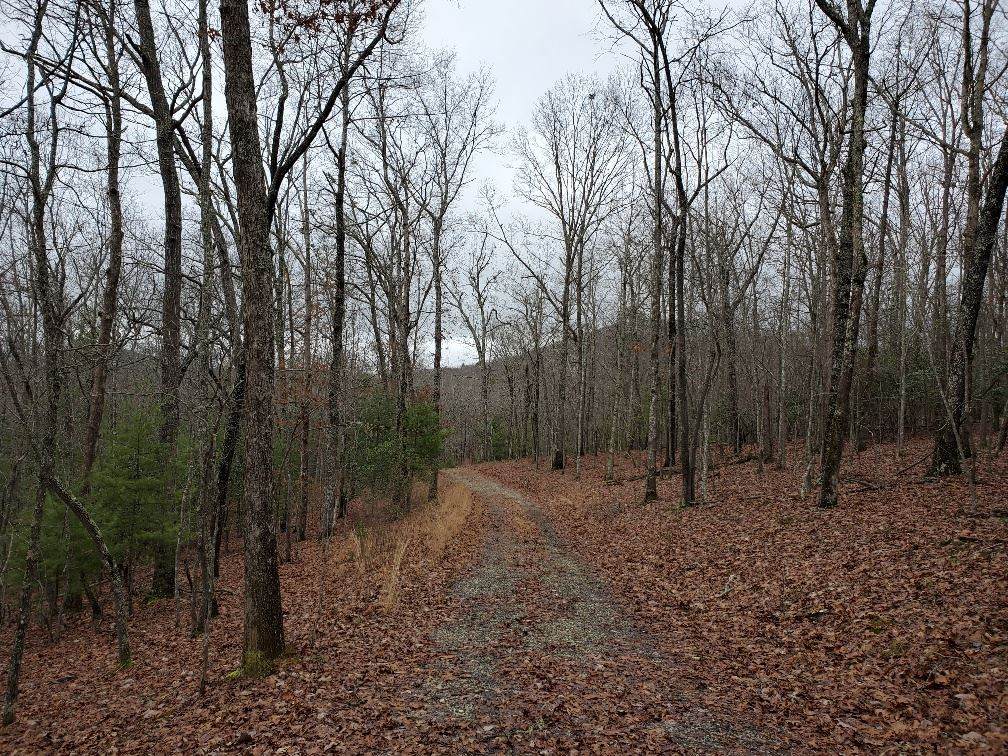 0 Mystic Ridge - Photo 1