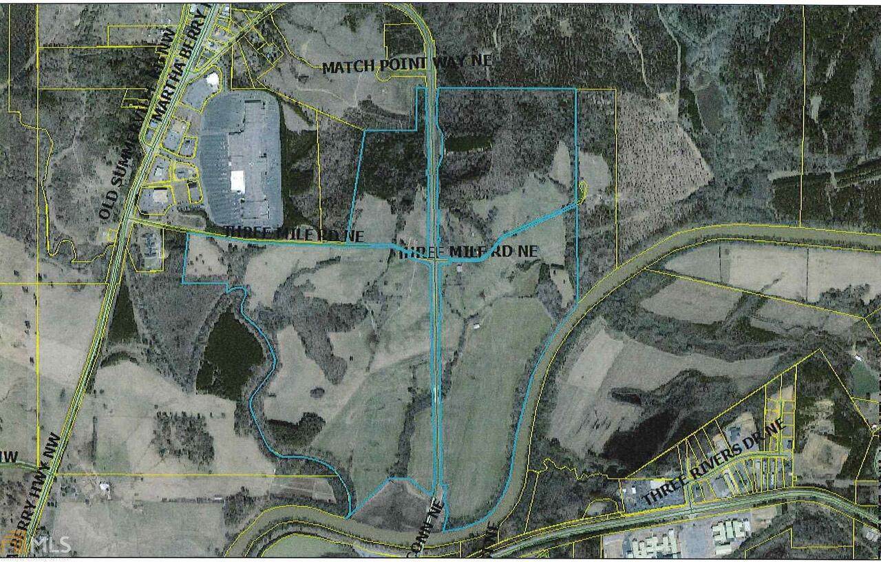 0 Three Mile Road - Photo 1