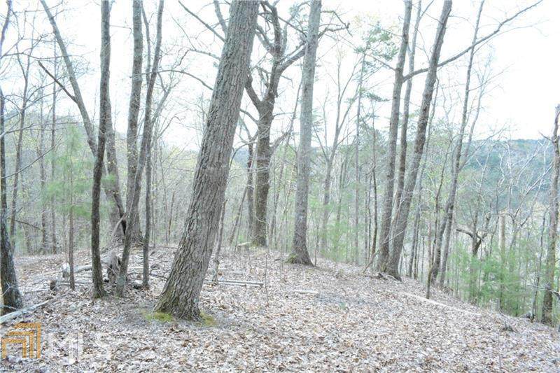 0 Ward Ridge Road - Photo 1