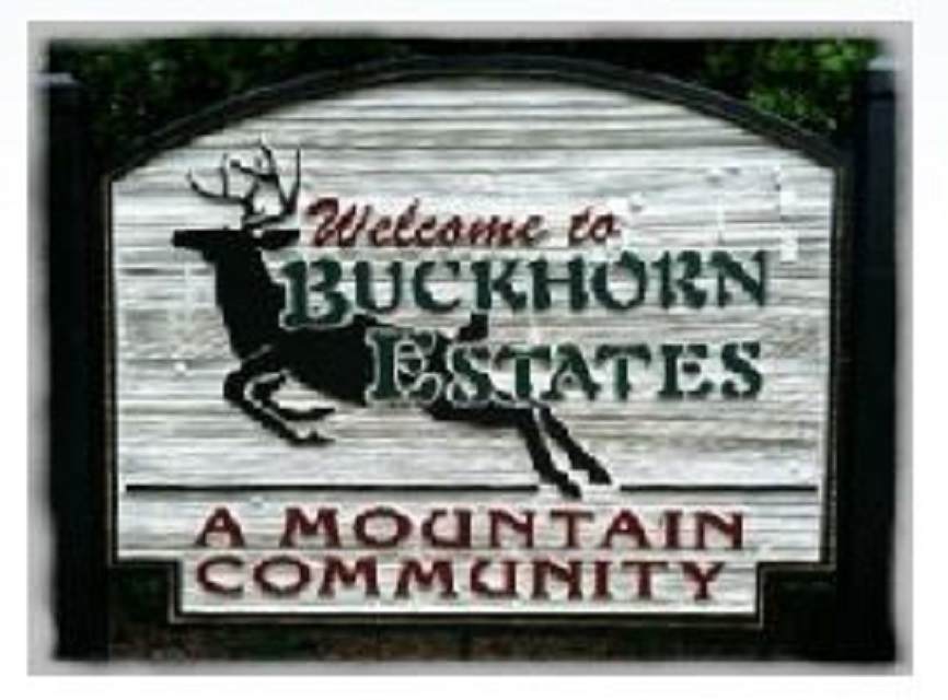 LOT 298 Etowah Drive - Photo 1