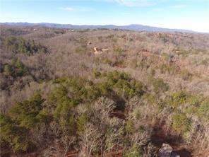 0 Pine Forest Loop - Photo 1