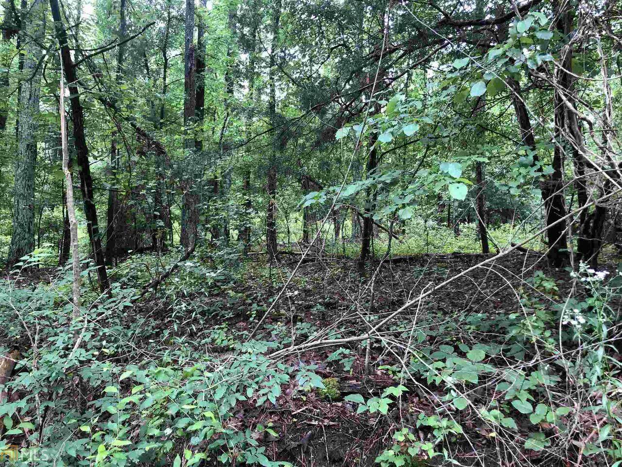 2920 Bonds Lake Road - Photo 1