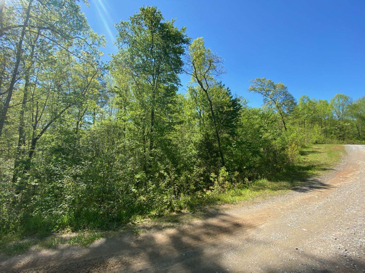 Lot 60 Staurolite Mountain - Photo 1