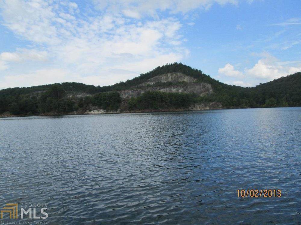 0 Woodring Branch Road - Photo 1