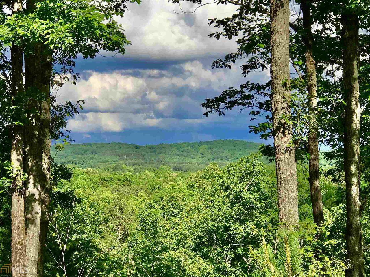 0 Carters View Drive - Photo 1