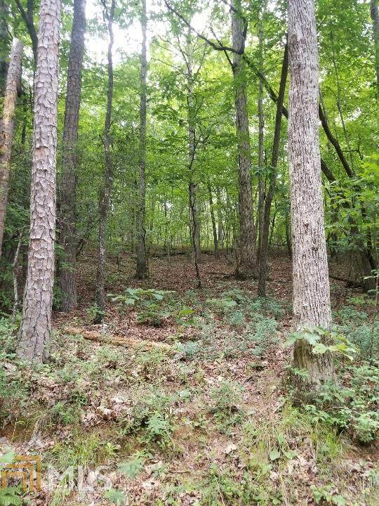 135 Fern Valley Trl - Photo 1