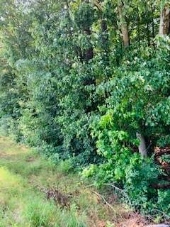 0 Sugar Valley Rd - Photo 1