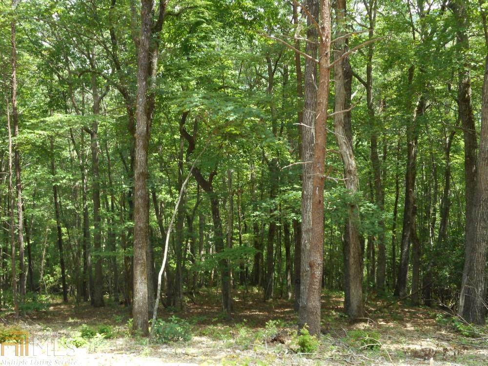 3114 Oakey Mountain Road - Photo 1