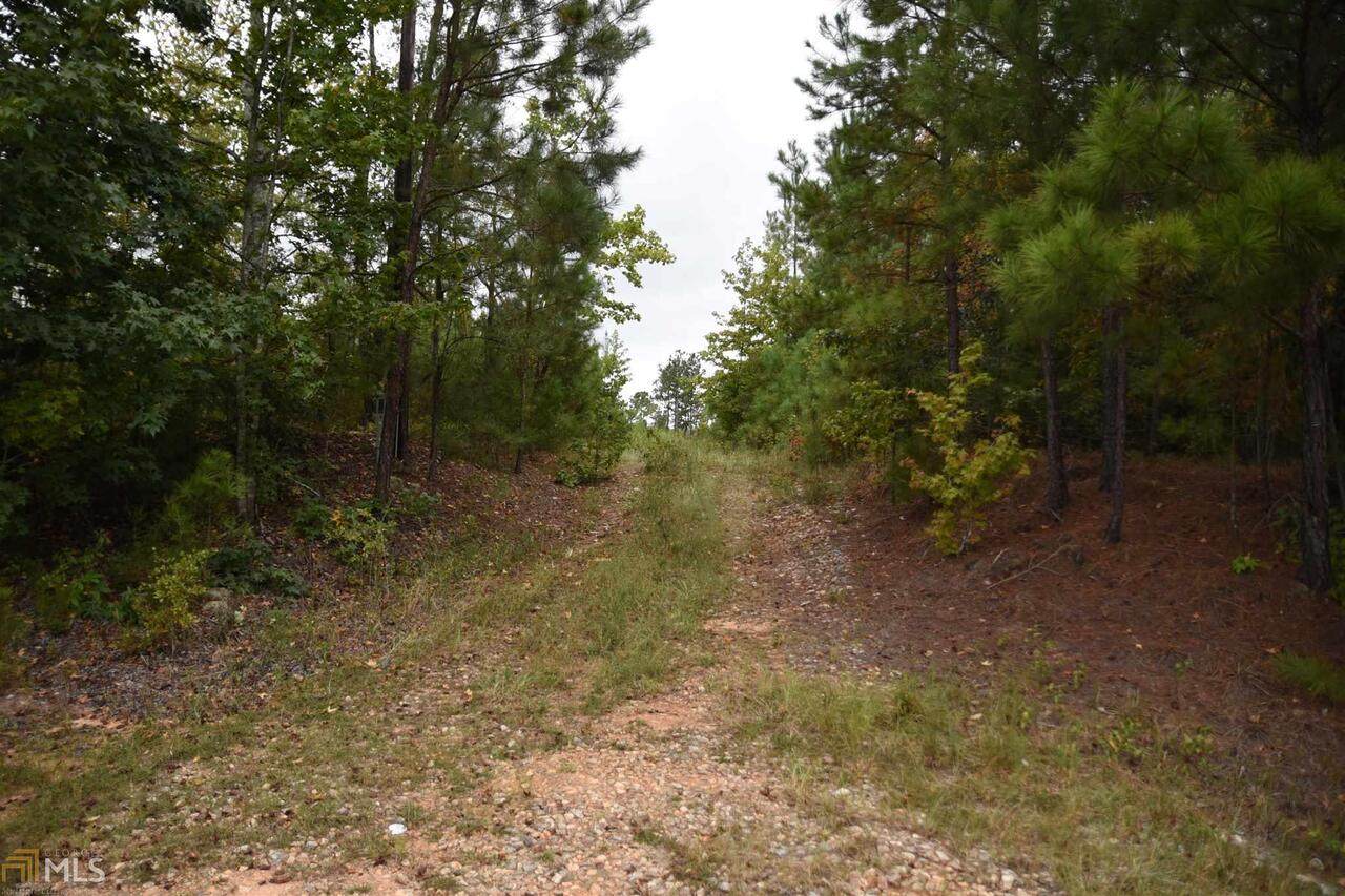 0 Irvin Road - Photo 1