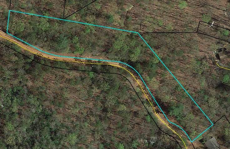 7B Bear Foot Trl - Photo 1