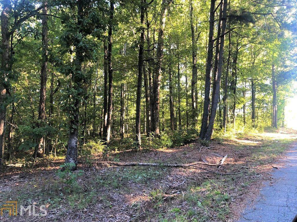 0 Deer Ln - Photo 1