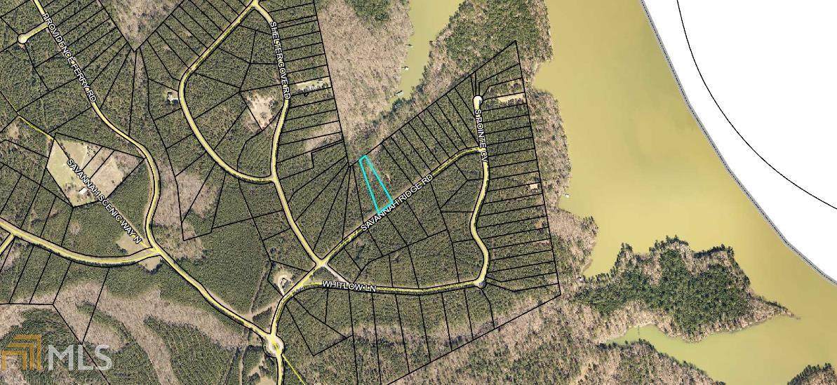 0 Savannah Ridge Rd - Photo 1