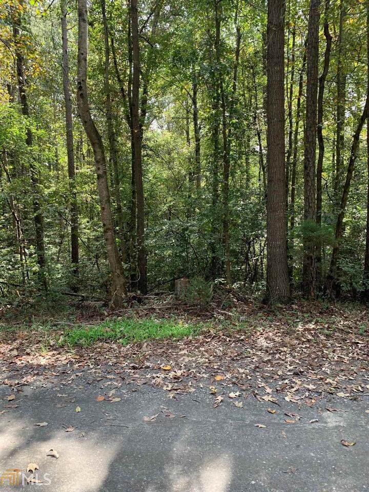 0 Lewis Drive - Photo 1