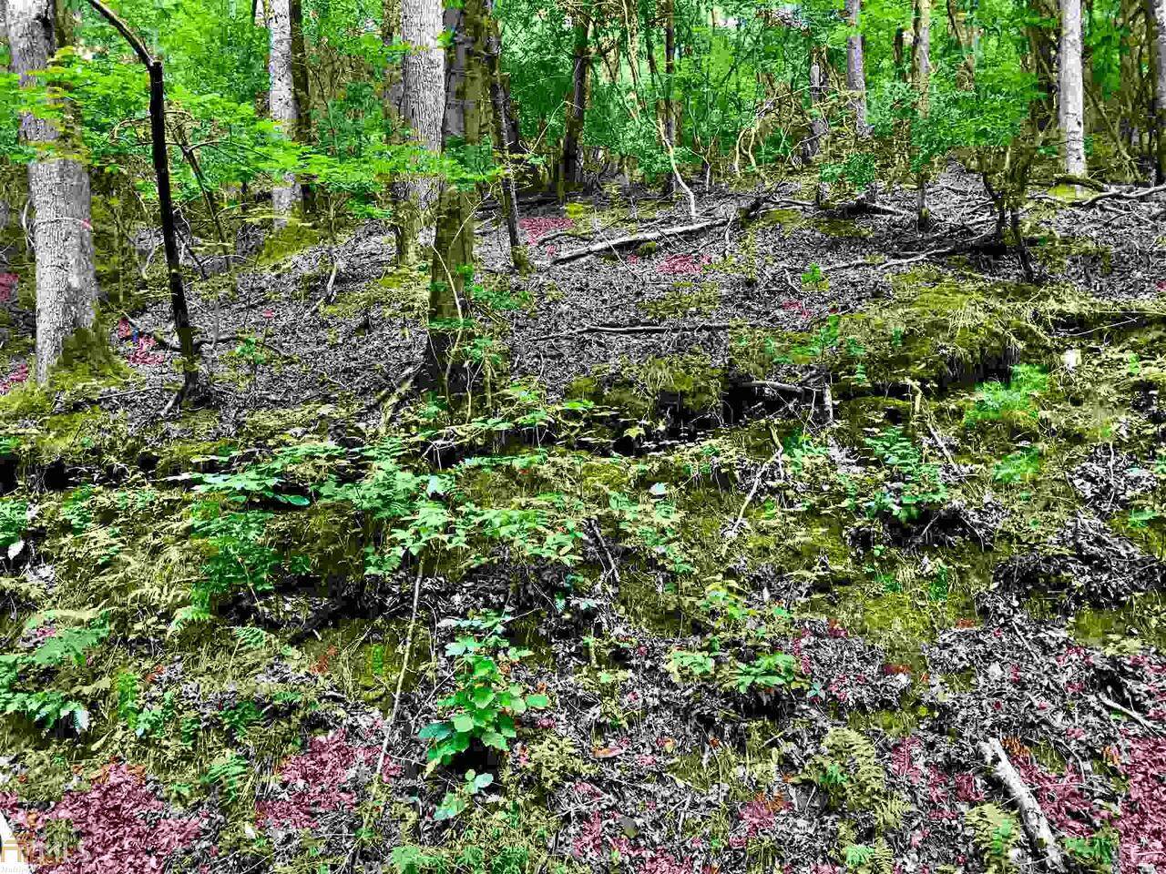 0 Cold Stream Road - Photo 1