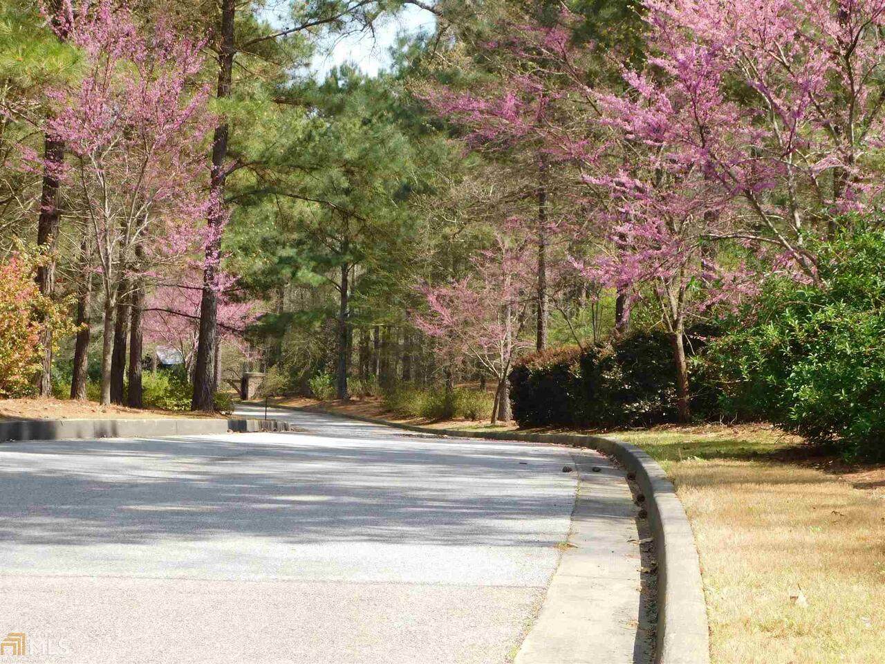 190 Wolf Creek Cove - Photo 1