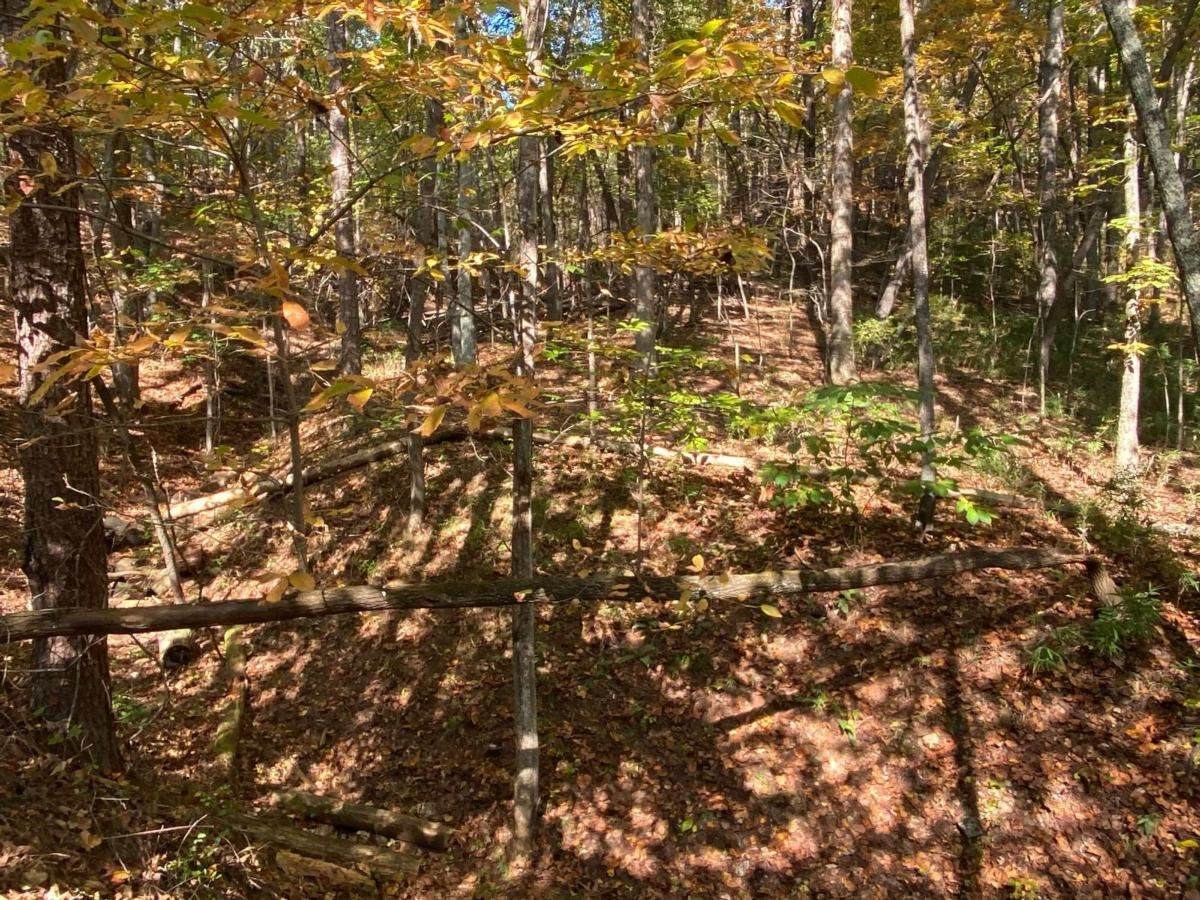 37 Madelyn Anthony Rd - Photo 1