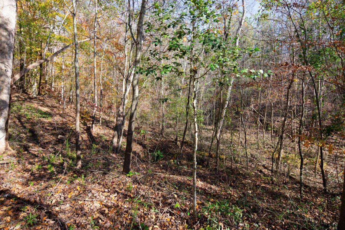 0 Sosebee Dr - Photo 1