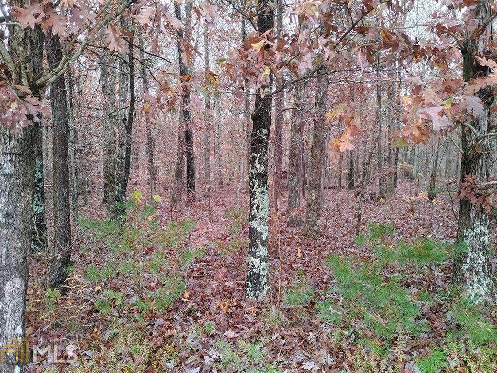 97 Golf Course Rd - Photo 1