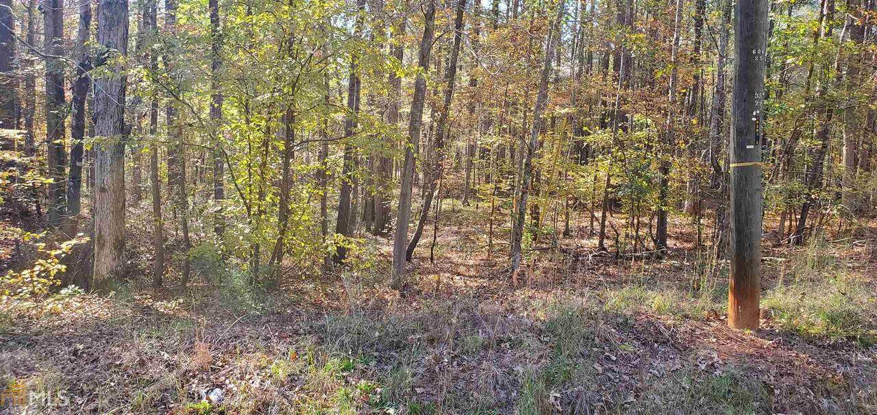 0 Little River Trail - Photo 1