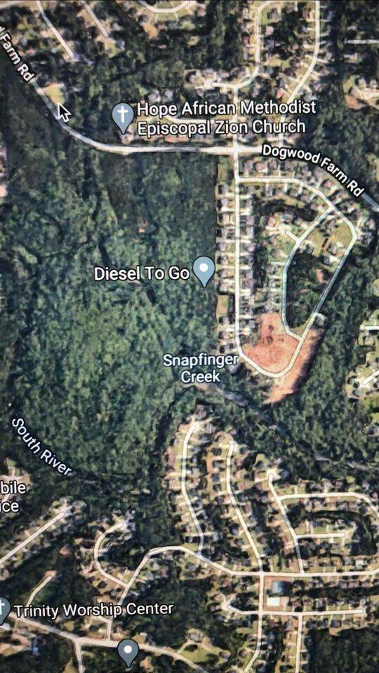 3771 Dogwood Farm Road - Photo 1
