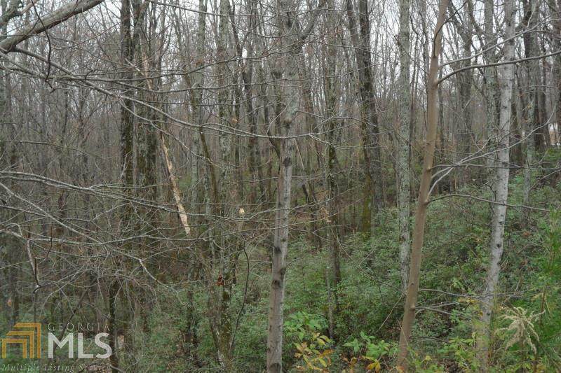 159 Raspberry Lane - Photo 1