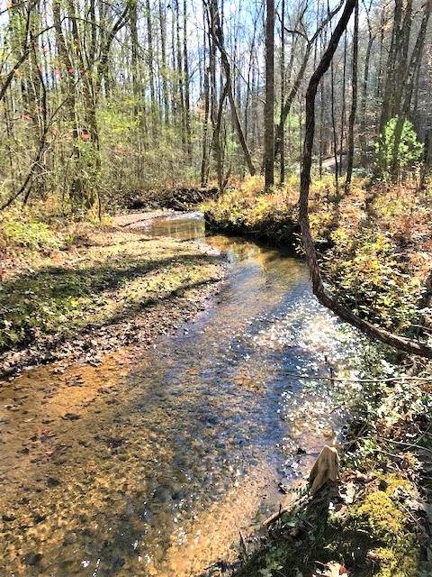 0 Amber Ln - Photo 1