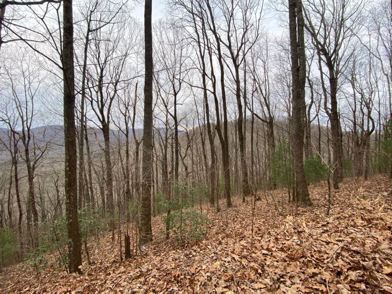 0 Big Creek Highlands - Photo 1
