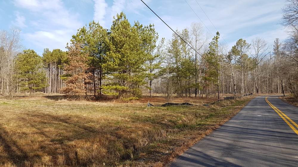 318 Quail Hollow Dr - Photo 1