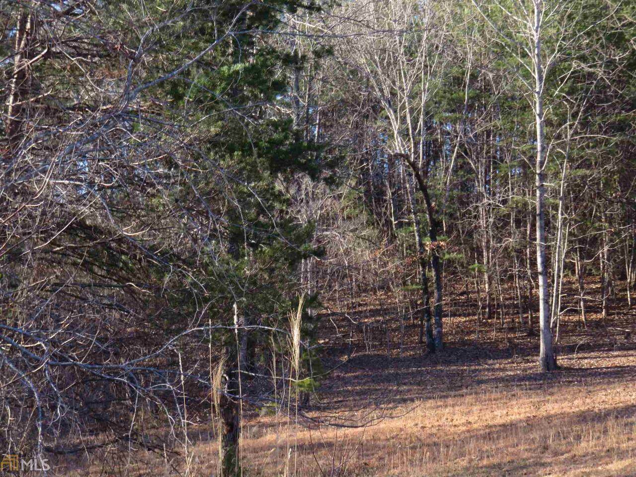 29 Chimney Lake Drive - Photo 1