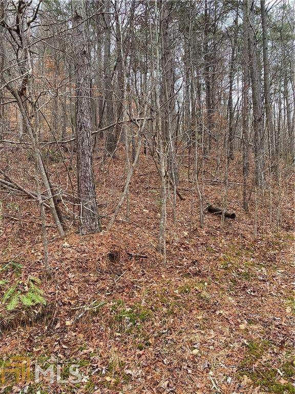 529 Debord Drive - Photo 1