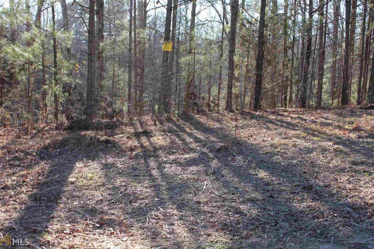1026 Country Lane - Photo 1