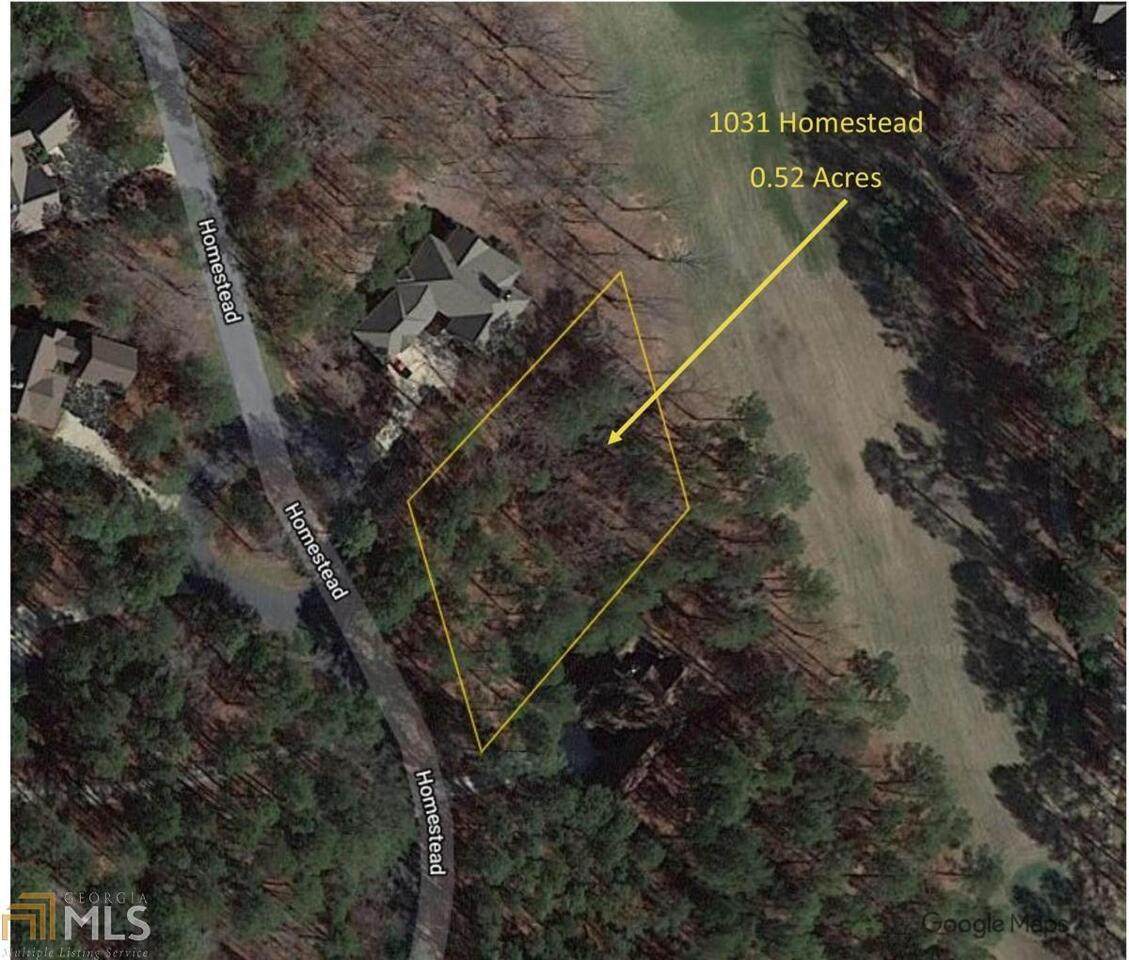 1031 Homestead - Photo 1