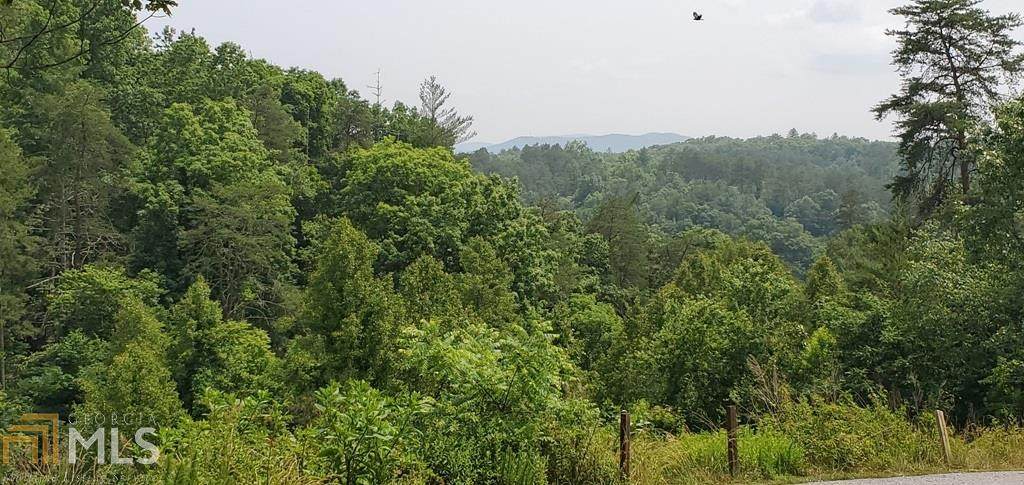 0 Toccoa River Forest Lane - Photo 1
