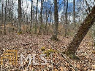 0 Lance Mountain Acres - Photo 1