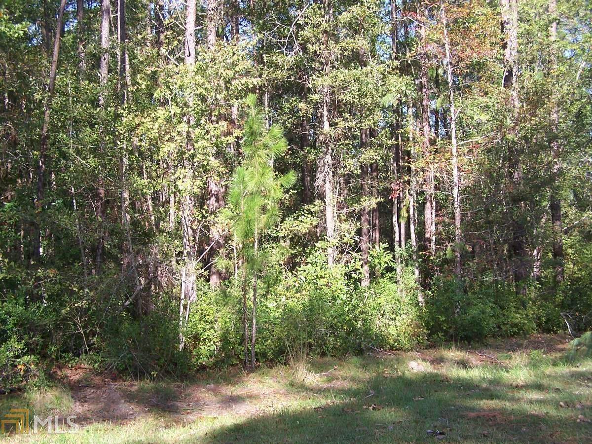 0 Plantation Trail - Photo 1