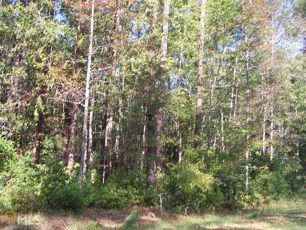 0 Plantation Trail - Photo 1