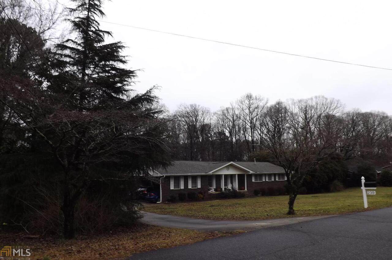 239 Lendon Lane - Photo 1